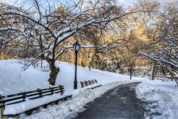 Fototapet - Central Park New York City
