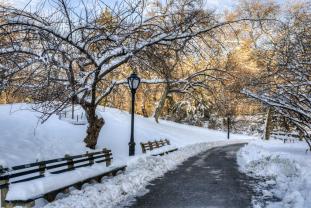 Fototapeter - Central Park New York Stad