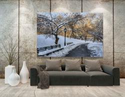 Fototapet - Central Park New York City