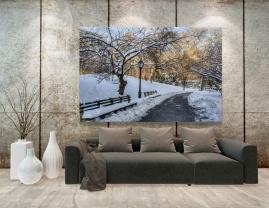 Fototapeter - Central Park New York Stad