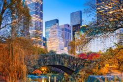 Fototapet - Central Park New York City