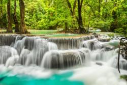 Fotomurales - Cascada Tropical