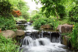 Fotobehang - Japanse Tuin Waterval