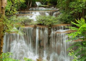 Fototapeten - Wasserfall Wald
