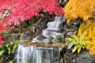 Fotobehang - Japanse Tuin