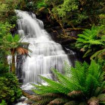 Fotobehang - Waterval