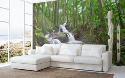 Cascata Foresta