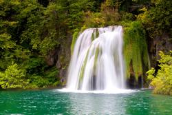 Fotomurali - Cascata Tropicale