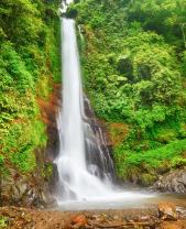 Wall Murals - Tropical Waterfall