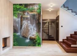 Waterfall in Forest