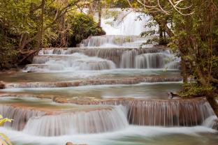 Fotobehang - Waterval Bos