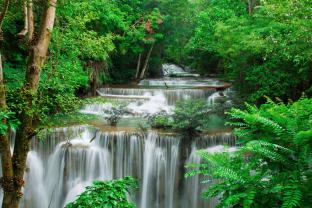 Murais de Parede - Cascata Floresta