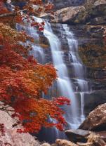 Fotomurali - Cascata