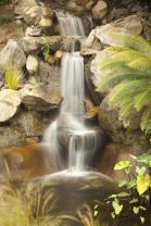 Fotomurali - Cascata