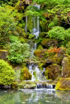 Fotomurali - Cascata