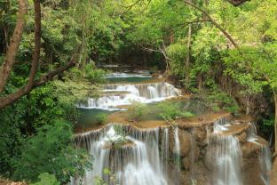 Murais de Parede - Cascata Floresta