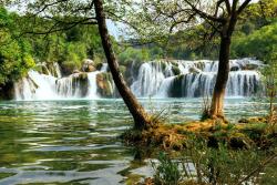Fotomurali - Cascata Foresta