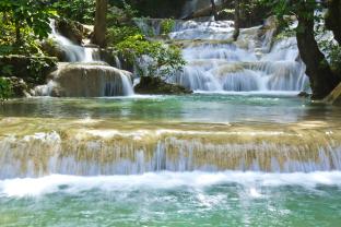 Fotomurali - Cascata Foresta