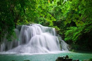 Fotomurales - Cascada Bosque