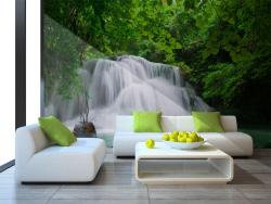 Waterfall in Forest
