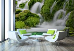 Waterfall in Forest