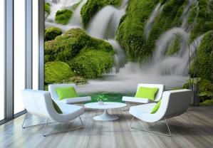 Fossefall Skog