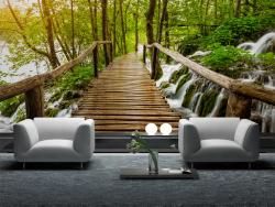 Waterfall in Forest