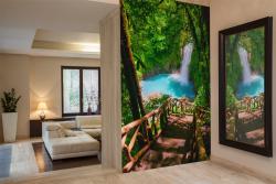 Waterfall in Forest