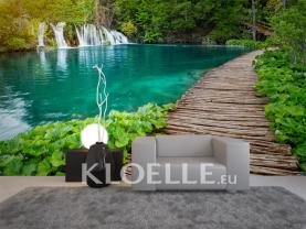 Waterfall in Forest