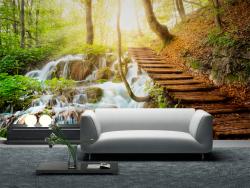 Waterfall in Forest