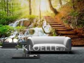 Waterfall in Forest