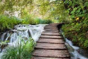 Fotomurali - Cascata Foresta