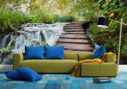 Waterfall in Forest