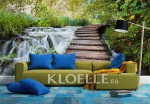Waterfall in Forest