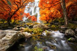 Fotomurales - Otoño Cascada