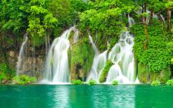 Fotomurali - Cascata Foresta