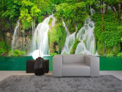 Waterfall in Forest