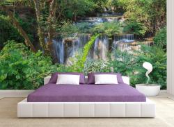 Waterfall in Forest