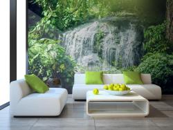 Waterfall in Forest