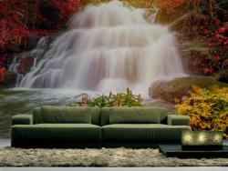 Waterfall in Forest