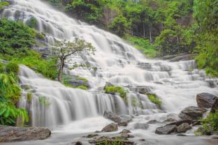 Murais de Parede - Cascata na Floresta