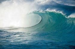 Wall Murals - Wave