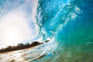 Wall Murals - Wave
