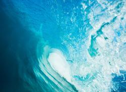 Wall Murals - Wave