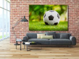 Fotomurali - Pallone da Calcio