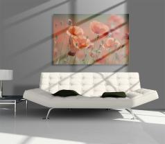 Wall Murals - Poppies