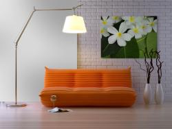 Wall Murals - Plumeria Flowers