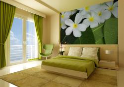 Wall Murals - Plumeria Flowers