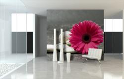 Pink Gerbera