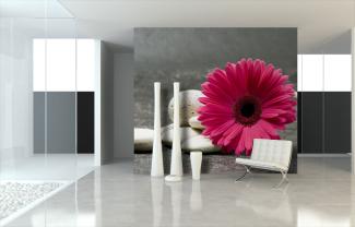 Gerbera